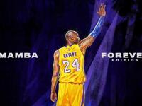 FB体育官方网站-伊萨克赛后评分拉满，智利绝杀亚特兰大，一场改写命运的南美风暴