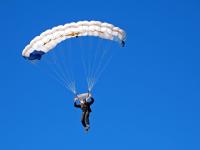 FB体育在线-霍勒迪爆发，雄鹿提前终结悬念尼克斯