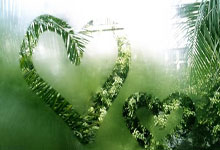 FB体育在线-教练战术精准，帮助球队取得胜利