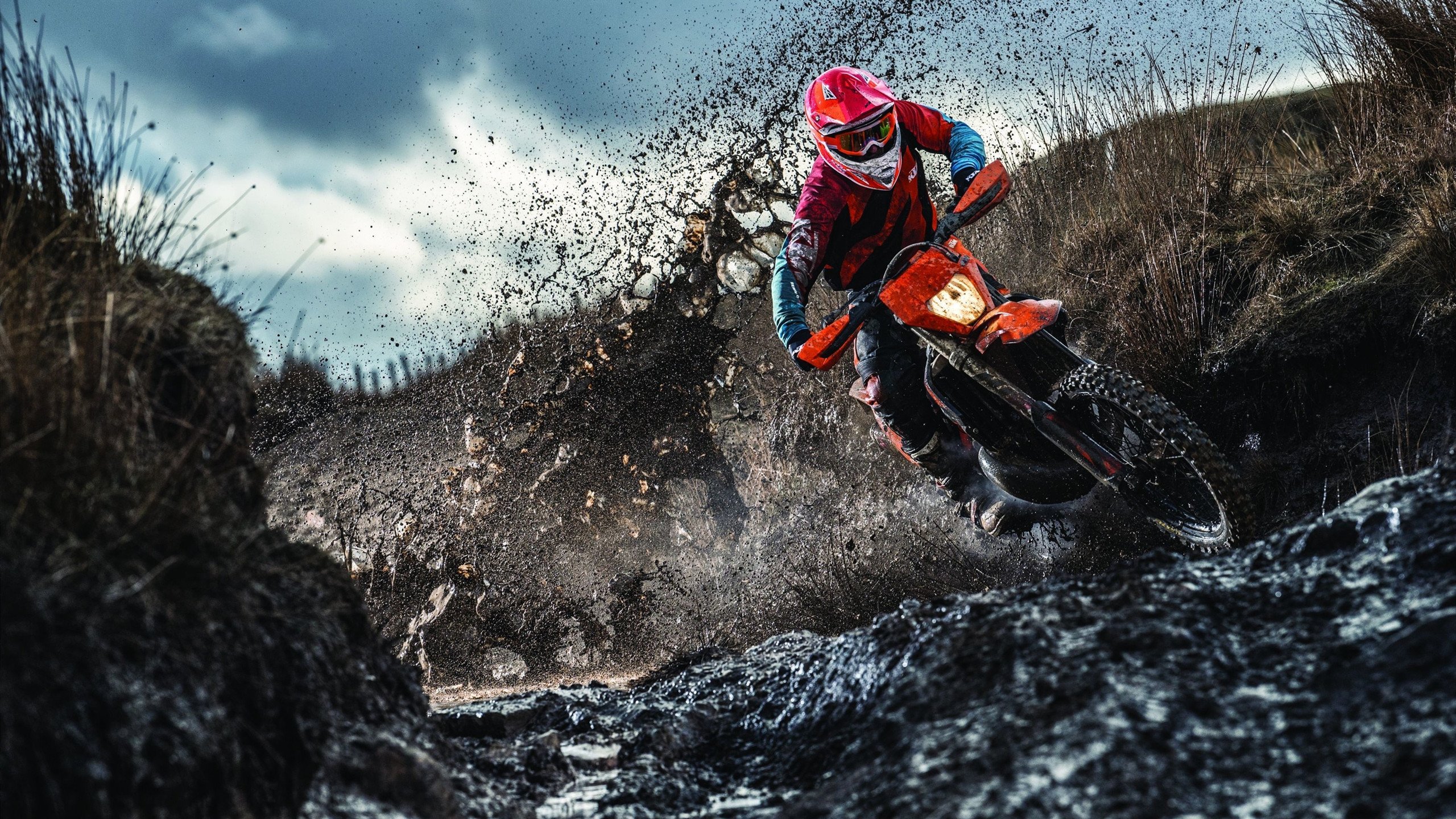 上海滩的篮球回响，当德罗赞的救赎跨越太平洋